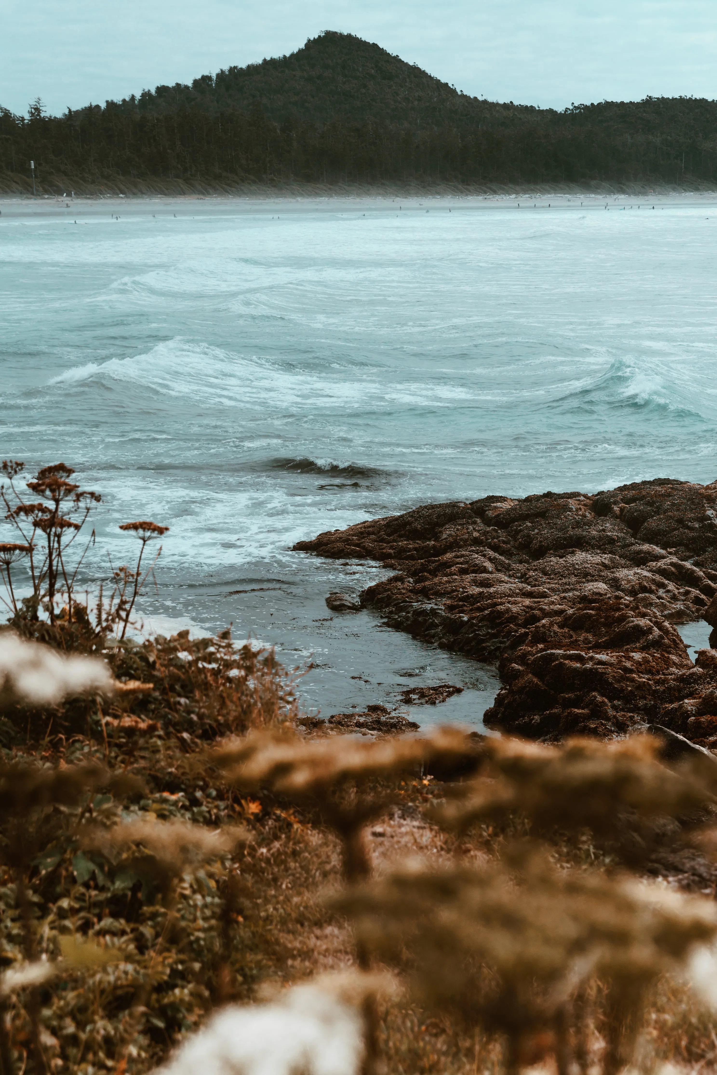 Autumn shore